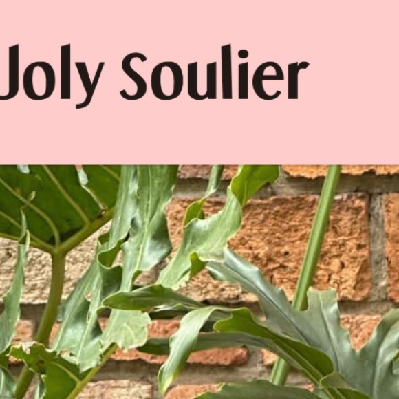 Meet your Posher, Joly - Picture 2 of 3